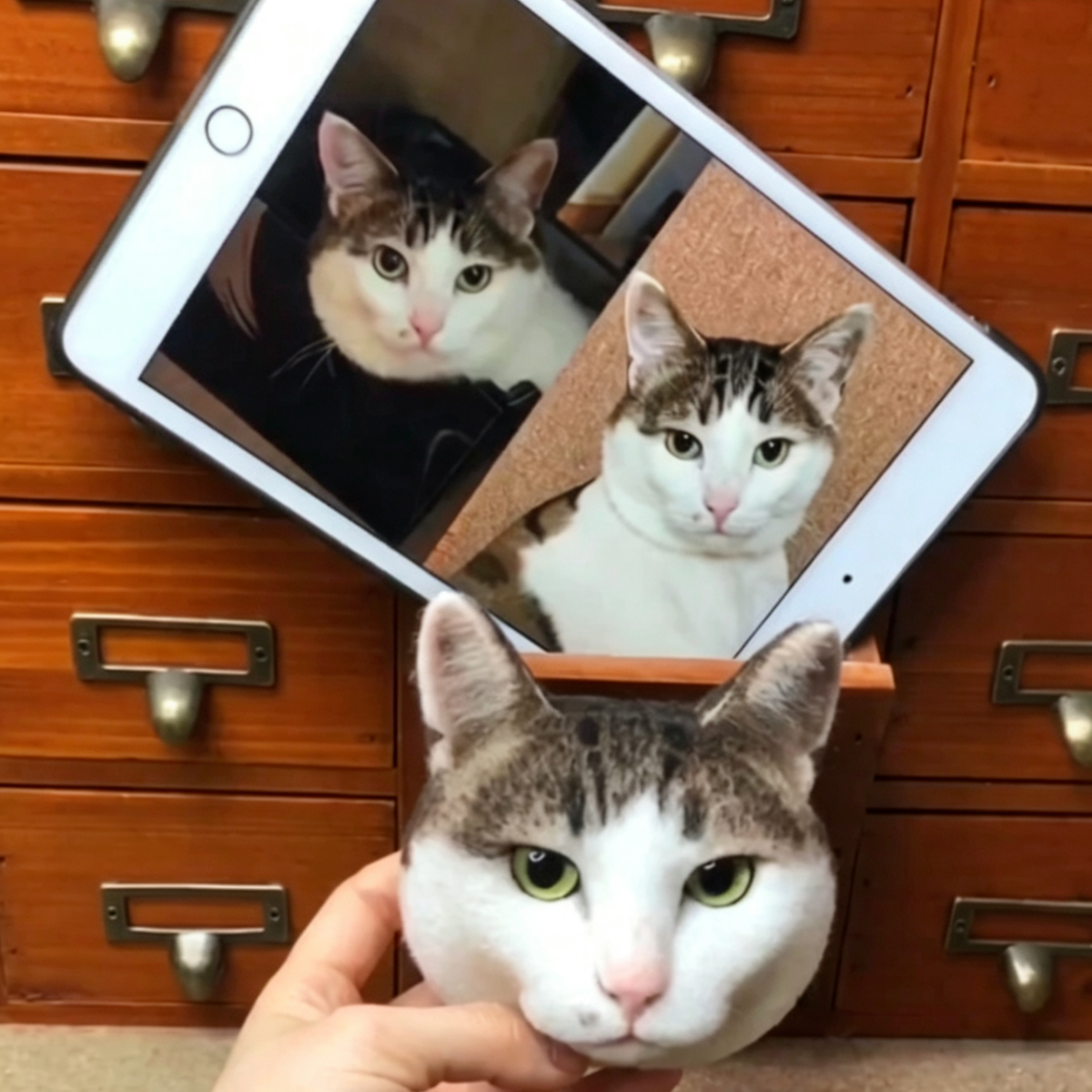 Cat-Customize Wool-Felt