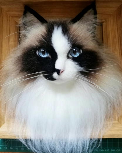 Cat-Customize Wool-Felt