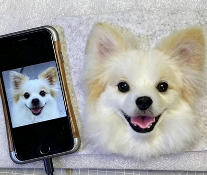 Tutorial Woolfelt Pet